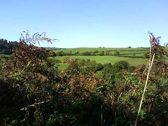 View over South Hams, Devon.