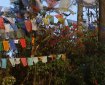 Prayer flags. Photo: © Paul Heatley