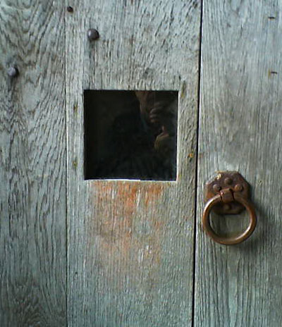 Oak door at Dartington, Totnes Oak door at Dartington, Totnes