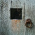 Oak door at Dartington, Totnes