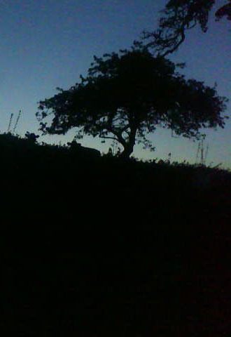 Night view in Devon countryside. Night view in Devon countryside.