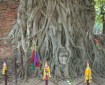 Ja-tree with Buddha Photo © Janet Novak