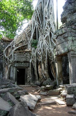 Angkor Watt Photo: © Janet Novak