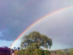 Rainbow over Totnes, England Rainbow over Totnes, England