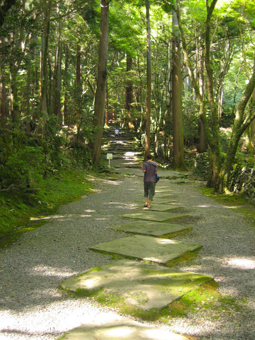 Path to Kozan-ji Photo @KyotoDailyPhoto