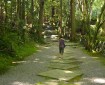 Path to Kozan-ji Photo @KyotoDailyPhoto