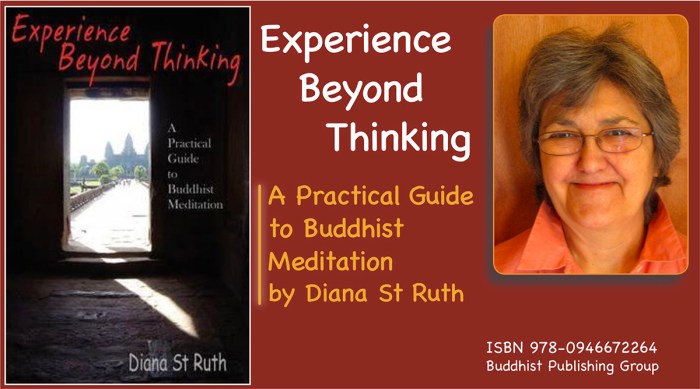 Experience Beyond Thinking (Link to Amazon)