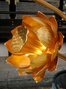 Golden Lotus Flower Photo © @KyotoDailyPhoto