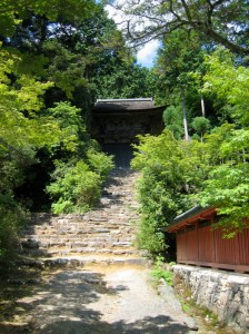 Jingo-ji Shingon temple Photo: ©@KyotoDailyPhoto
