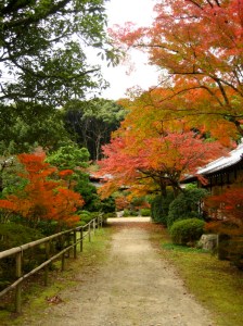 Wandering through Daigo-ji's woodland shortly before rain. The temple was founded by Shobo in 874. Photo © @KyotoDailyPhoto Wandering through Daigo-ji's woodland shortly before rain. The temple was founded by Shobo in 874. Photo © @KyotoDailyPhoto
