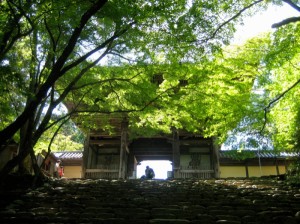 Jingokokusoshingon-ji (Shingon Temple) Photo: @KyotoDailyPhoto