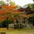 daigo-ji-autumn-300.jpg