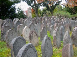 Gango-ji Photo © @KyotoDailyPhoto