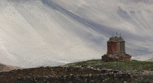 Mustang 2011. Photo © Lisa Daix