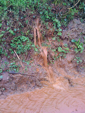 Water flowing down a bank. Totnes, Devon