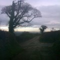 Back lane in Devon, near Totnes