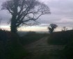 Back lane in Devon, near Totnes