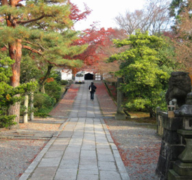 Early morning at Yogen-in. Photo © @KyotoDailyPhoto