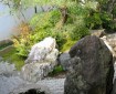Daisen-in's (大仙院) tiny L-shaped garden Photo © @KyotoDailyPhoto