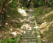 Hill of '100 steps', Shinryu-sha (神龍社). @KyotoDailyPhoto