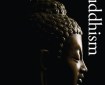 Cover of Princeton Dictionary of Buddhism