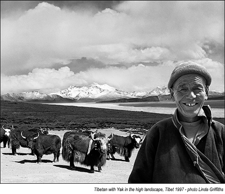 Photographs Taken During a Journey Around Tibet in 1997 by Linda Griffiths