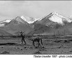 Tibetan Horseman © Linda Griffiths