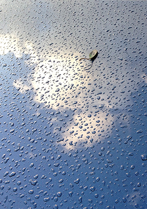 Reflection of clouds through raindrops.