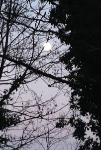 Moon over Totnes © RSR