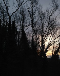 Early Morning sky over Totnes. © RSR