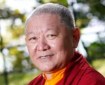 Ringu Tulku Rinpoche