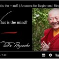 What is Mind, by Ringu Tulku Rinpoche