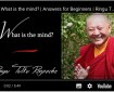 What is Mind, by Ringu Tulku Rinpoche