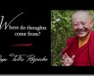 Ringu Tulku Rinpoche