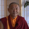 Ringu Tulku Rinpoche