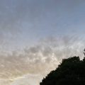 A cloudy evening in Totnes. Morning meditation: Should attachment or a wish to express anger be present in your thoughts, then do not budge or say a word. Shantideva