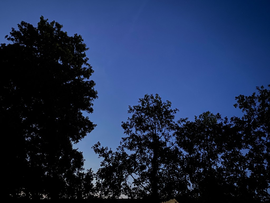 ‘Understanding of dependent origination is essential. It allows us to know that the concept of ego is dependent on various causal conditions.’
