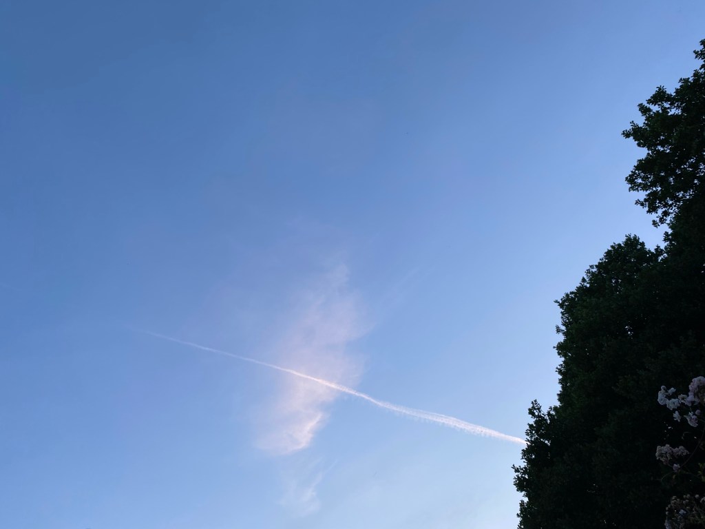 Clouds aircraft and tree.
