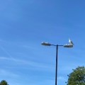 Seagull on a lamppost.