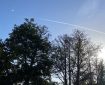Trees, sky, with a flypast.
