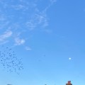 Sky, Birds, Chimney and Moon.