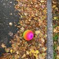 Multicolour Ball in Autumn Leaves.