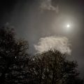 Full moon over trees and clouds.
