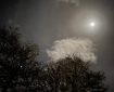 Full moon over trees and clouds.