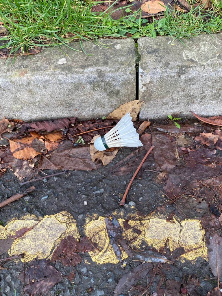 Badminton shuttlecock in the kerb.