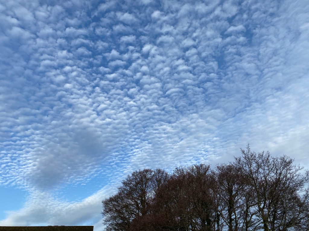 Soft clouds in the Totnes Sky. 