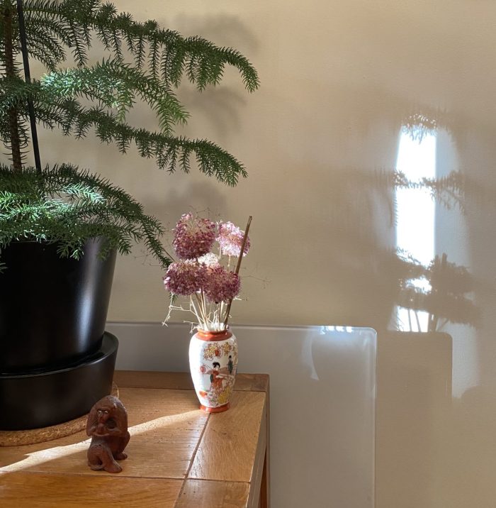 Monkey on the table with dry flowers, tree, and shadow.