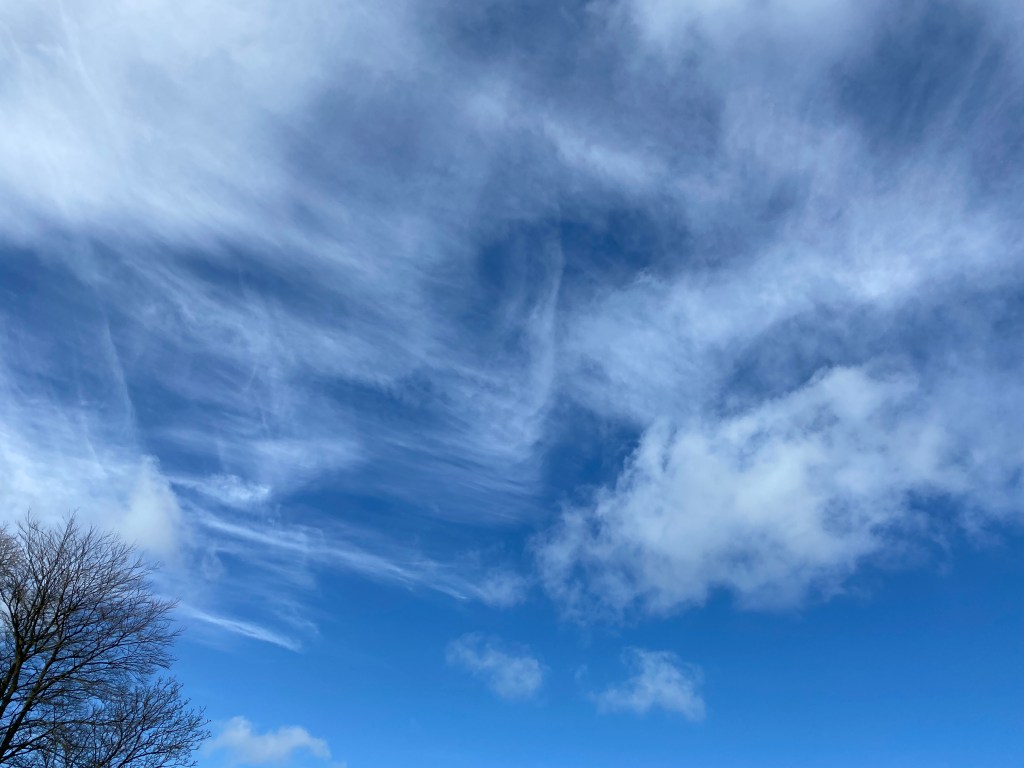 Sky, Clouds, and Tree.