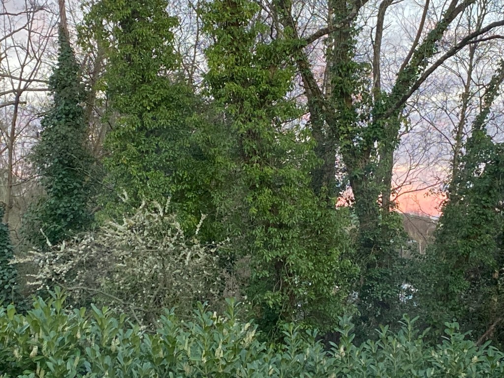 Early Sunrise over Totnes.