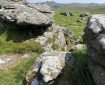 Dartmoor from Hound Tor.